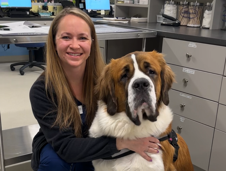 Spay & Neuter Procedures