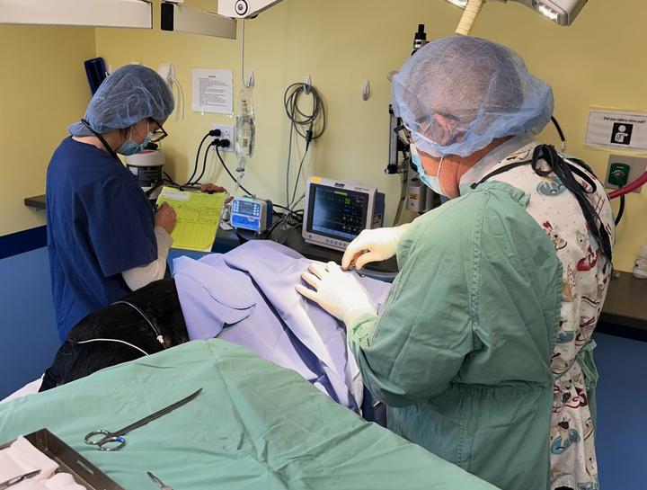 Advanced Soft Tissue Surgery