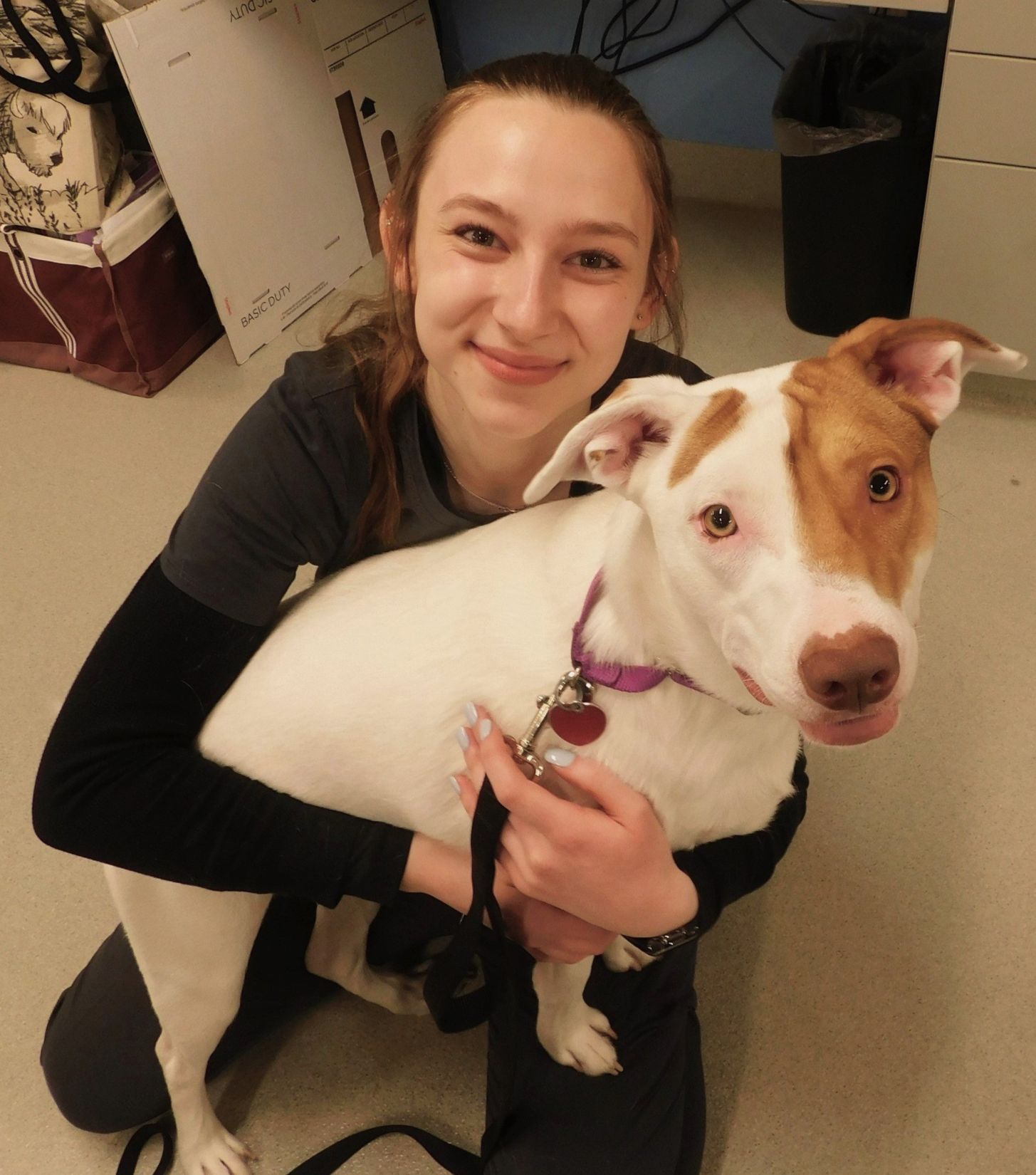 Veterinary Jobs in Amsterdam