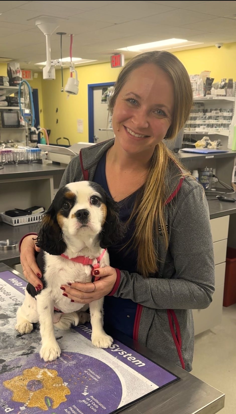 Dove Creek Animal Hospital Policies